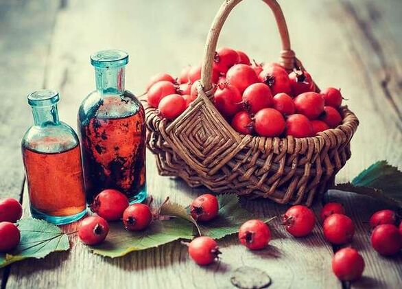 Hawthorn fruit to enhance experts