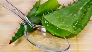 aloe for penis enlargement